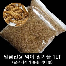 밀웜전용먹이/갈색거저리유충먹이/밀기울 1LT, 밀웜사료