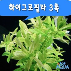 339abe48-1348-41d4-a54b-7228e01ef8df.jpg