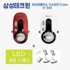 하이원k300