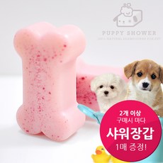 강아지바버인터내셔널