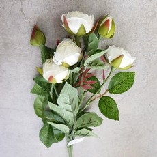 738f654b-2e88-42ca-bd53-c33816ccac8b.jpg