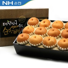 순천농협고들빼기