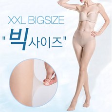 팬티스타킹10족