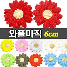 와플케어