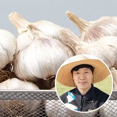 친환경팔도 황토밭 통마늘(대서마늘)대5kg, 1개