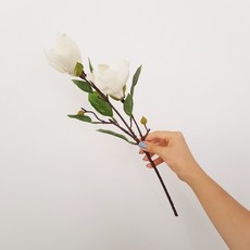 42bb1a8b-ddf6-49db-93ba-4aacbb016d5b.jpg