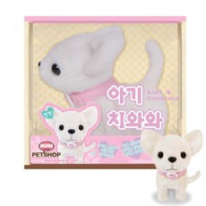 베이비펫아기푸들