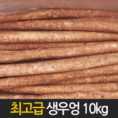 우엉 국산 수입 특품 생우엉 10kg 4kg내외, 1개, 2번-국내산 생우엉 4kg