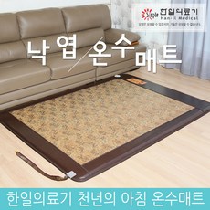 한일의료기 온열매트 스마트 온수매트 낙엽, 싱글(90 x 190cm)