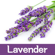 석고방향제향료