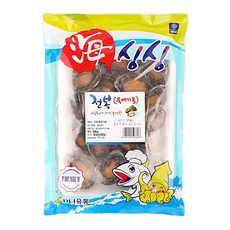 dh글로벌제빙기