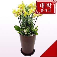 호접도