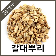 갈대뿌리