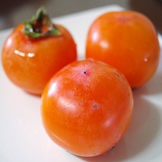 칭따오말하는병따개