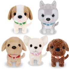 베이비펫아기푸들