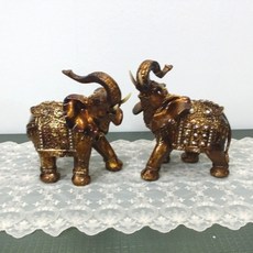 코끼리조개