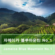 ce9ebd78-68eb-46d0-813c-77f9473b6e48.JPG