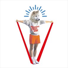 허밍어반스테레오lp