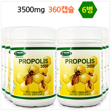닥터루템리얼식물성알티지오메가3500mgx60캡슐 TOP01