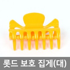 ddy롯드