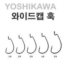 요시오의하늘