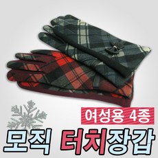 마도바장갑여성