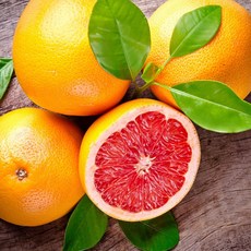 자몽프래그런스