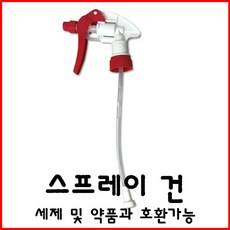 캐니언건