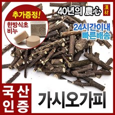 1e7e07fd-67ff-4d43-b8e4-4eb9904c4a5a.jpg