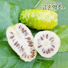 금1키로금액