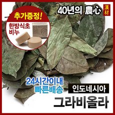 기름부으심이넘치는치유와권능