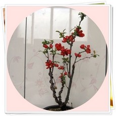 5bdf7bd2-ec6a-4bc7-8910-dd2ff05d06c4.jpg
