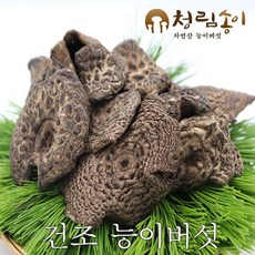 (청림송이.능이) 자연산 능이버섯 (특품)햇건조 (정품 .정량. 정가), 1개, 햇건조능이A급/100g