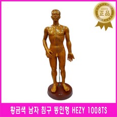 아티스트를위한인체아나토미해부학비주얼레퍼런스3dtotal