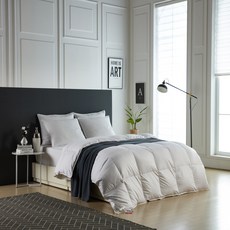 ab401773-d828-4e8e-93e3-1030570fadc7.jpg