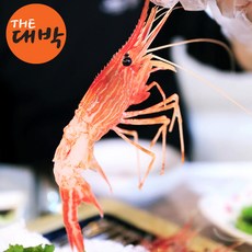 //상품명