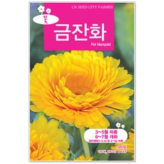 온화씨앗키트