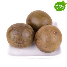 나한과열매