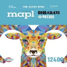 마플시너지고등수학(하)구매