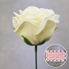 꽃다발캐리어재료벽걸이