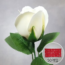 7e79532e-61be-401e-a9dd-fd038e7b77b2.jpg