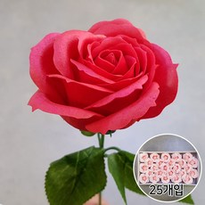 59a8cd26-e791-4db3-ae68-8b6407d1509c.jpg
