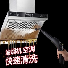 로아스스팀청소기