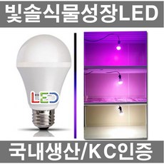 70cddb8b-3287-4b0b-970c-62df1d10b257.jpg