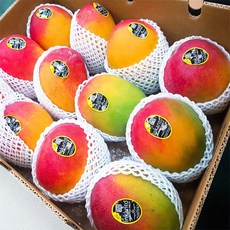 달달과수원 애플망고 선물용 고당도 과일 특품, 1박스, 4kg(7~10과)