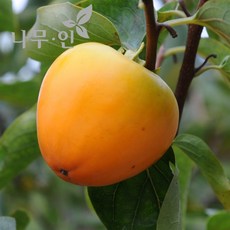 a995d3c6-878e-4a19-9f3f-0f6f12d7cf54.JPG