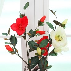 철포나리