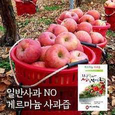 우엉안동모자농원