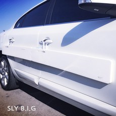 sl0wp22y014