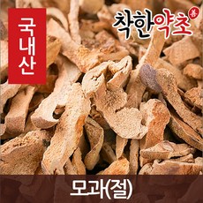 생모과
